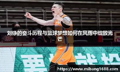 三亿体育登录入口