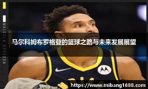 三亿体育官网